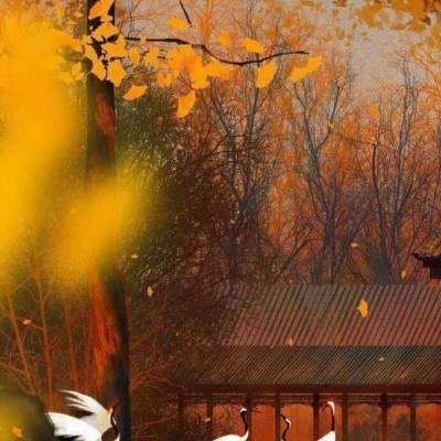 智龙魔塔手机版下载
