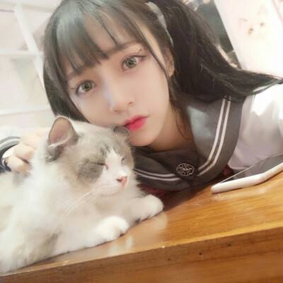 鲲鹏传说破解版下载